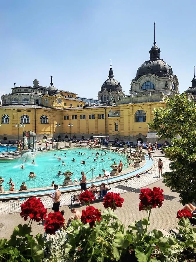 Stunning 2 Double Bedroom Apartment In The Centre Of Budapest